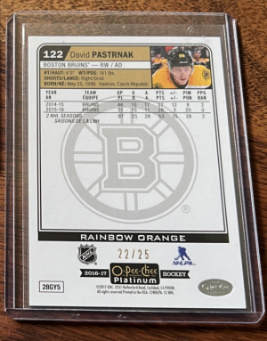 David Pastrnak 16/17 OPCP Rainbow Orange back